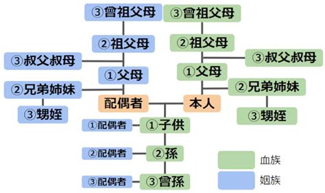 三等親有哪些|1